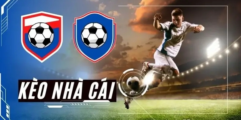 Tỷ lệ nhà cái trong cá cược